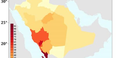 Саудиска Арабија густината на население мапа